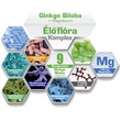 NICS Ginko Biloba + Magnézium 
